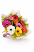 Brisa de Gerberas